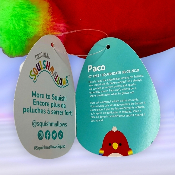 🆕️ PACO 7 Inch Red Parrot  Squishmallows Plush Toy - Picture 6 of 7